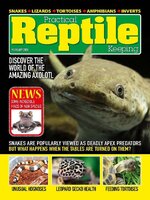 Practical Reptile Keeping